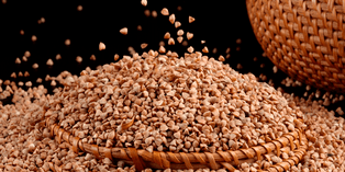 o trigo sarraceno é um produto saudável
