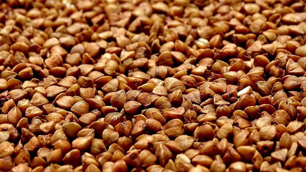 Tipos de dieta